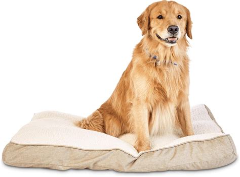 Petco Brand Harmony Khaki Lounger Dog Bed Pet Supplies