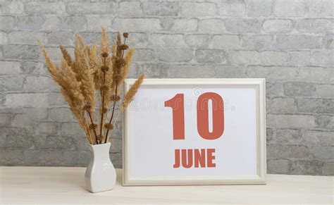 June 10 10th Day Of Month Calendar Date White Vase With Ikebana And