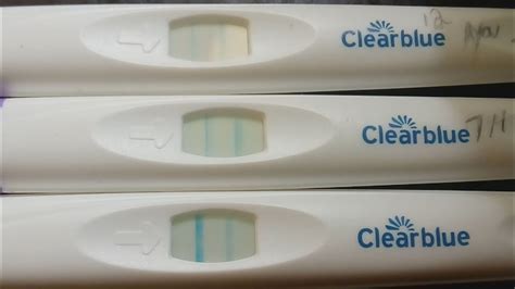 When Should I Have Sex After Positive Ovulation Test Conceiveeasy Hot