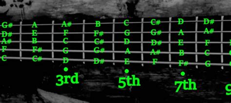 String Bass Notes Chart With Fretboard Photos Bassox