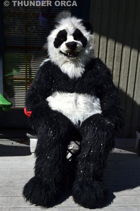 My Panda Fursuit — Weasyl