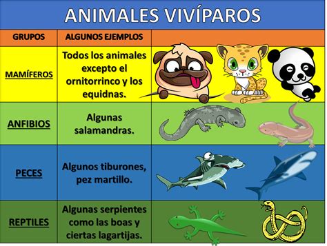 Animales Ovíparos Y Vivíparos Nueva Escuela Mexicana Digital