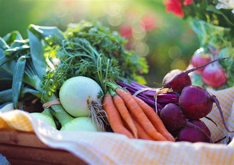5 Tips Membeli Sayuran Organik Dengan Biaya Murah