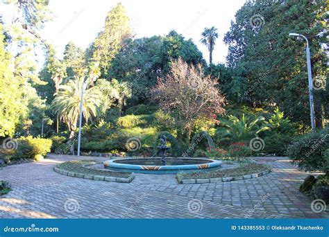 The Botanical Garden Of Batumi Editorial Stock Photo Image Of Coast