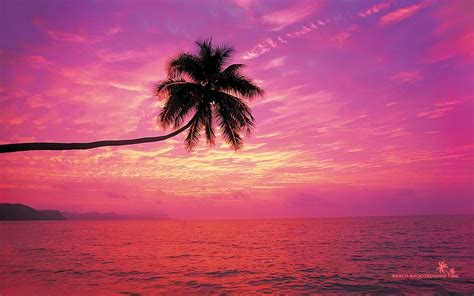 Pink Beach Wallpapers Top Free Pink Beach Backgrounds