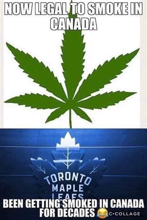 Pin By Matt Parks On Nhl Humor And Memes Toronto Maple Hockey Memes