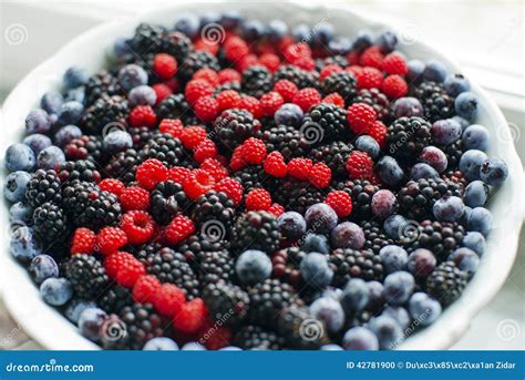 Berries Stock Photo Image Of Ripe Natural Superfood 42781900