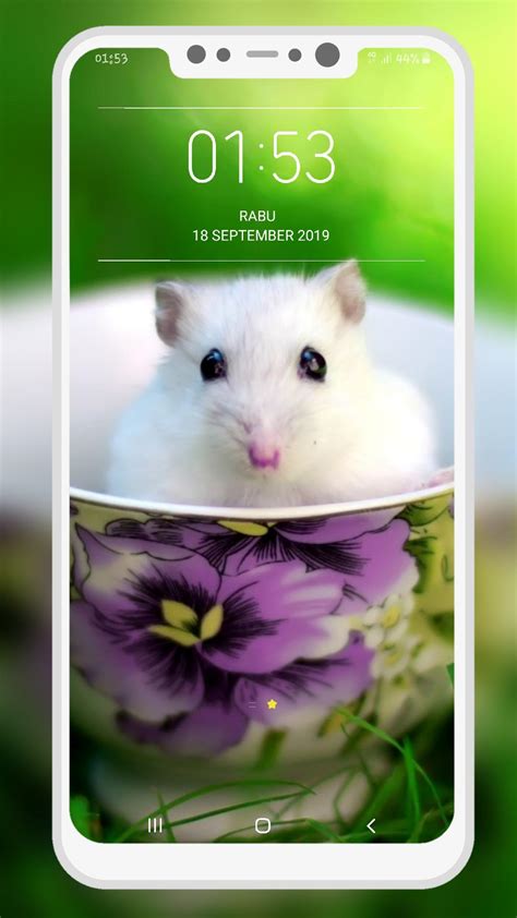 Hamster Wallpapers For Android Apk Download