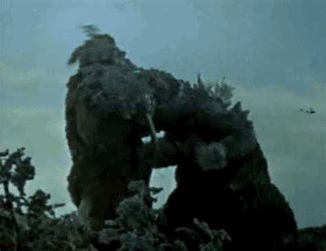 Kong's adam wingard to direct the next #monsterverse movie! Godzilla vs king kong gif 9 » GIF Images Download