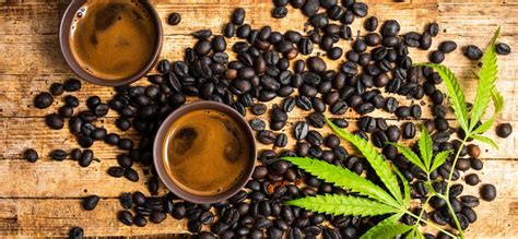 3 best cbd coffee for energy boost 2024 ☕ types and benefits
