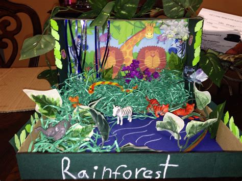 Looking for the best ideas for your school's diorama project? Rainforest habitat diorama project 1st grade | Habitat ...