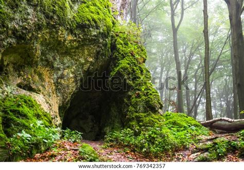 73750 Forest Caves Images Stock Photos And Vectors Shutterstock
