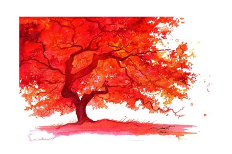 Watercolor Japanese Maple Tree Painting Jessica Durrant The Lone