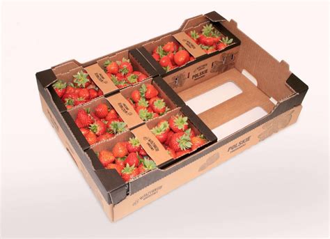 Innovative Transport Packaging For Fruit From Sofrupak Kidv