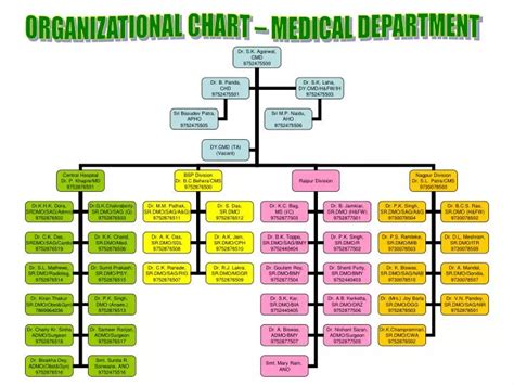 Ppt Organizational Chart Medical Department Powerpoint Presentation