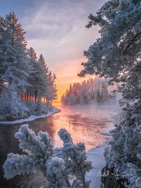The Garden Of God — Winter Sunrise In Finland By Asko Kuittinen