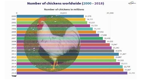 Number Of Chickens Worldwide 2000 2018 Youtube
