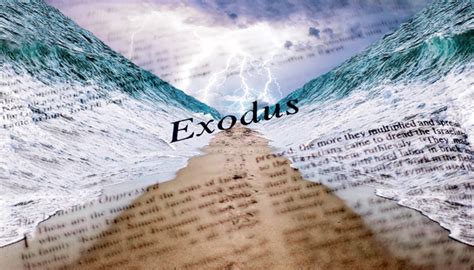 The Book Of Exodus Starting July Church Of Our Lady Of Perpetual