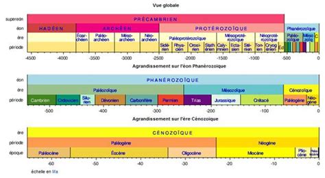Q = quaternaire → tableau synthétisant les documents du chercheur : L'échelle des temps géologiques