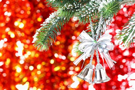On december 11,2019 children age 12 & under are invited to visit the several christmas trees that will be set up throughout stew leonard's yonkers store and to pick a. Stew Leonard Christmas Tree / Stew Leonard S Ushers In The ...
