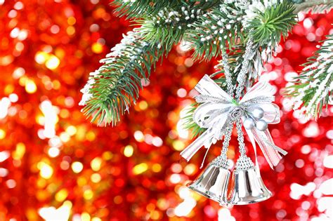 To keep your tree looking great this holiday season, here are stew leonard's five tips for selecting and caring for your christmas tree Stew Leonard Christmas Tree / Christmas Tree Lighting At Stew Leonard S In Norwalk Kids Out And ...