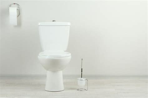 Best Tall Toilets For Elderly Help And Wellness