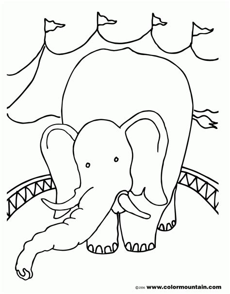 Southern elephant seals live on the open ocean when not on the rocky beaches of their breeding islands throughout the oceans around the antarctic. Free Coloring Pages Elephant Seal - Coloring Home