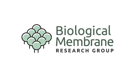 Biological Membrane Research Group Brand Identity On Behance