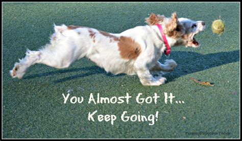 When you're feeling tired, dare to keep going. Success Quotes From My Cocker Spaniel