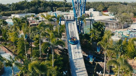 Seaworld Orlando Everything You Need To Know Before Visiting The