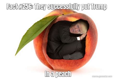 Fact 256 They Successfully Put Trump In A Peach Meme Generator