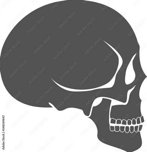 Human Skull Side View Anatomy Black Icon Stock Vector Adobe Stock