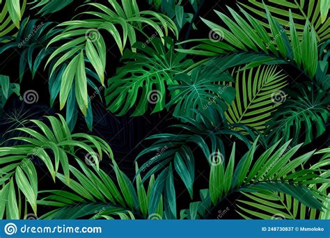 Seamless Hand Drawn Tropical Vector Pattern With Monstera Palm Leaves
