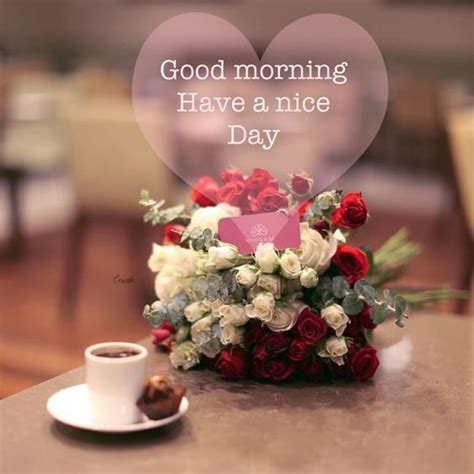 45 Best Good Morning Greetings Images Wishes Messages