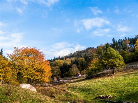 Black Forest Landscape With Sheds On A Hillside In Autumn Stock Photo