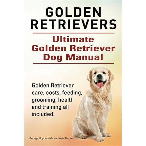 Golden Retriever Care Guide