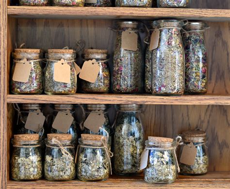 8 fabulous ideas for short haircuts. Steamy Collection | Herbal steam, Herbalism, Yoni
