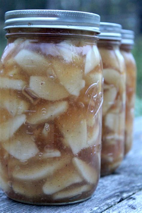 However, making apple pie from scratch takes a lot of time that you might not have. Canning Apple Pie Filling