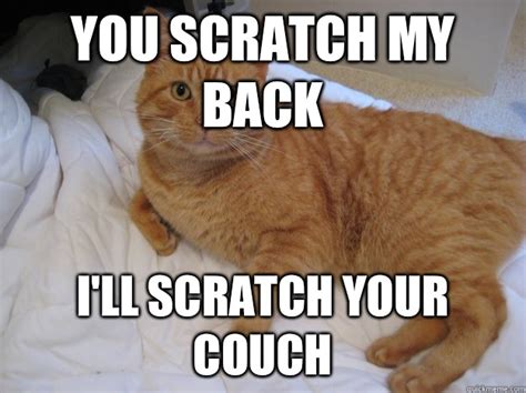 You Scratch My Back Ill Scratch Your Couch Cat Logic Quickmeme