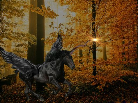 Black Unicorn By Hasiyne On Deviantart