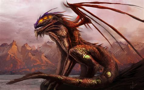 Fantasy Dragon Hd Wallpaper Background Image 1920x1200