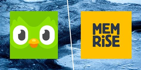 Duolingo Vs Memrise Which Language Learning App Is Better
