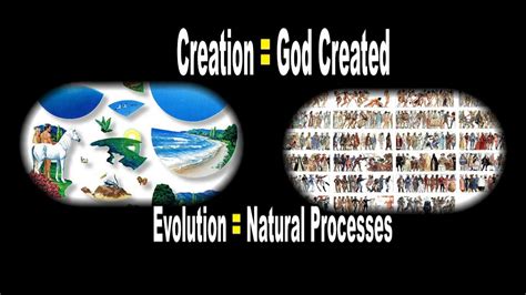 Creation Vs Evolution Comparison Chart