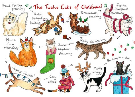 The Twelve Cats Of Christmas A Christmas Card For Cat Etsy Uk