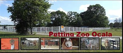 At the clinic our state licensed veterinarians and professional staff will ask you a few questions about your pet's lifestyle. Petting Zoo Ocala - 2020 All You Need to Know BEFORE You ...