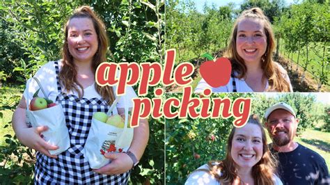 APPLE PICKING 🍎 | Arbour Day Farm 🌳 - YouTube