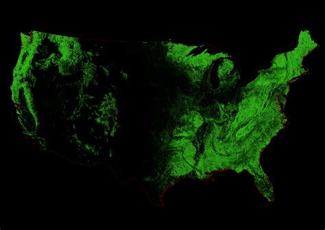Geographer Creates Stunning Map Of Us Forests