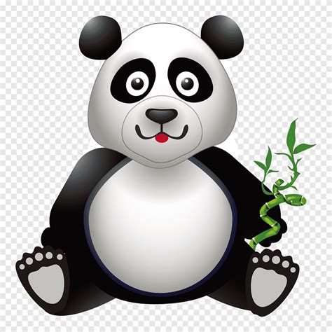 Dev Panda Bear Bamboe İllüstrasyon Bambu Karikatür Panda Alın