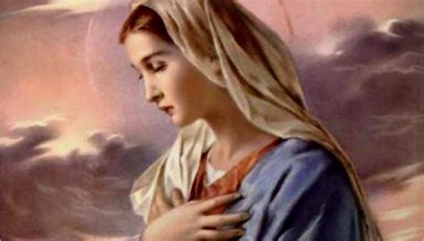 54 Day Rosary Novena Day 23 Devotion To Mary Roman Catholic Man