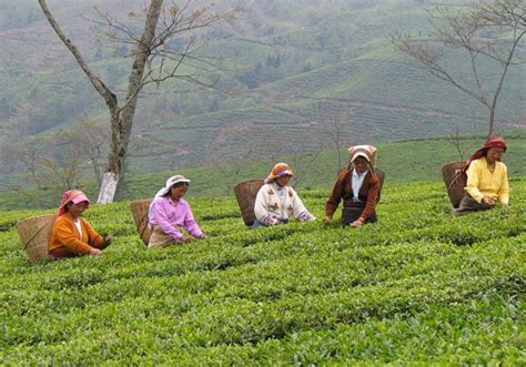Top 10 Things to Do in India | Best Things to Do in India